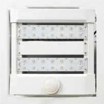 Canopy Light with Motion Sensor