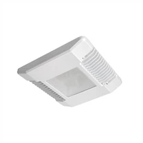 Petrol Station Light